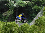 Preskusanje-dolocene-v-dezevnega-gozda
